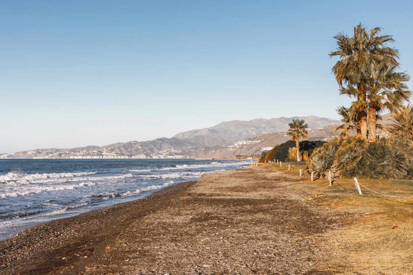 Imagen de la Costa Tropical en la que aparecen una playa con palmeras y al fondo unas sierras con diferentes núcleos de poblaciones y casas